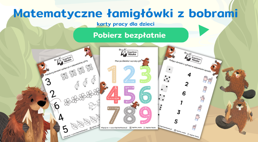 Karty pracy matematyczne łamigłówki z bobrami do pobrania Kapitan Nauka